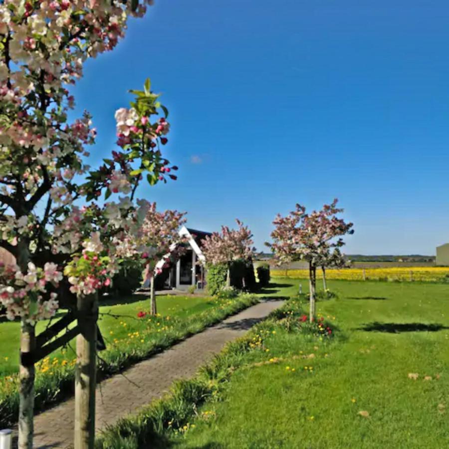 Hotelhuisje Warmenhuizen #F Екстер'єр фото